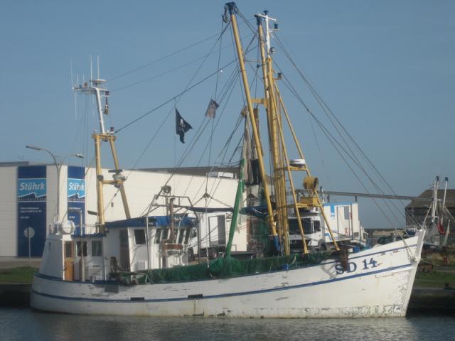 Edelweiß-(SD-14)-im-Hafen-von-Büsum