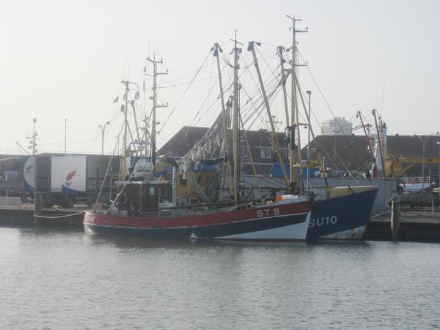 Godewind-(ST-9)