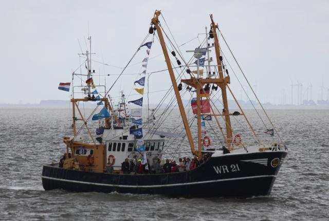 Jente-WR-21 Jente-WR-21