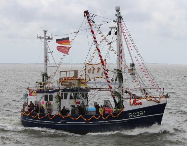 Goedeke-Michel-SC-29 Goedeke-Michel-SC-29